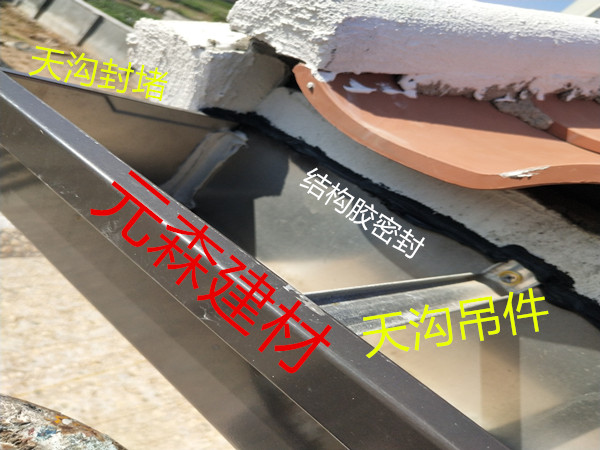 天溝堵頭